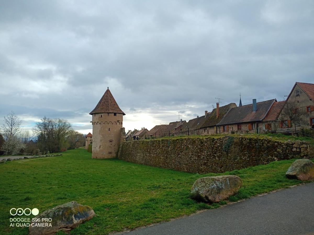 Bergheim Piscine Leilighet Eksteriør bilde